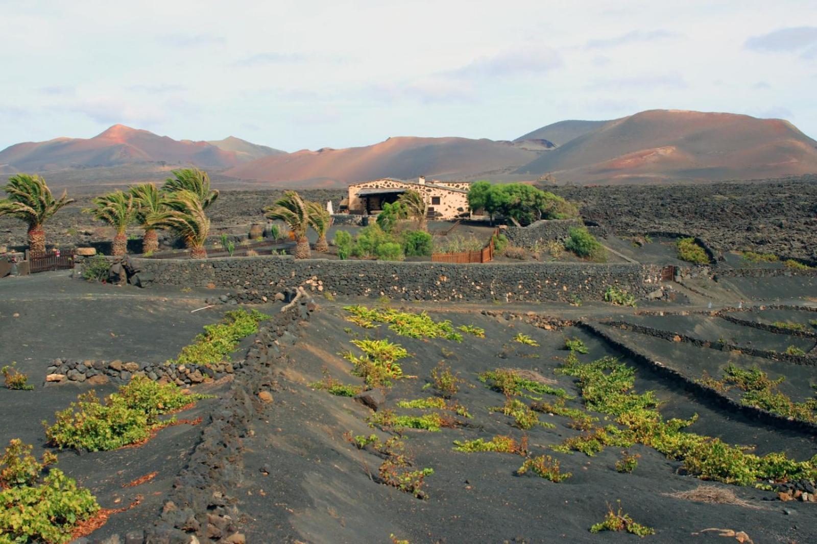Casa Rural Vega De Timanfaya Уга Экстерьер фото
